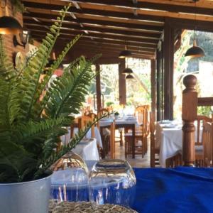 a table with a blue table cloth and a plant at Posada Soano in Soano +34 photos