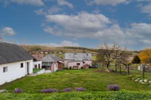a village with houses and a yard with purple flowers at Hege Vendégház in Bükkmogyorósd