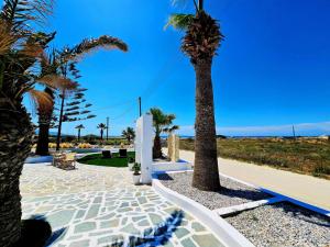 a palm tree next to a walkway next to the beach at Coralli Beach Apartments in Mikri Vigla