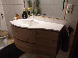 a bathroom with a sink and a toilet at Mangó Vendégház in Balatonszárszó +10 photos