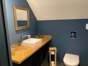 a bathroom with a sink and a toilet at Les Griottes Gite de charme in Verdigny +17 photos