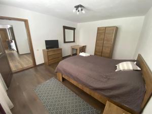 a bedroom with a bed and a television in it at CASA CODRILOR - Greencodru liniste si relaxare in Codru