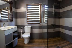 a bathroom with a toilet and a sink at CASA CODRILOR - Greencodru liniste si relaxare in Codru +11 photos