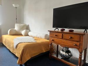 a bedroom with a tv on a dresser with a bed at Ferienwohnung Lukas in Frielendorf