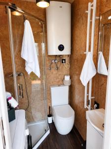 a bathroom with a shower and a toilet and a sink at Wisla66 Domki nad Wisłą Piotrawin in Piotrawin +67 photos