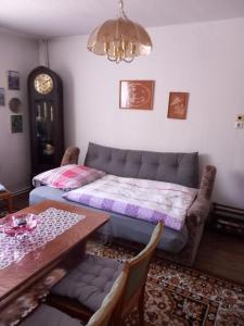 a living room with a couch and a table at Ferien- und Monteurwohnung Kieß in Röthenbach