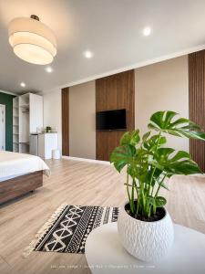 a bedroom with a bed and a potted plant at Souluna lodge in Chyrpykty