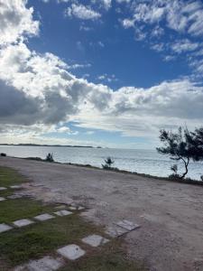 an empty beach with a tree and the ocean at Casa com Piscina Privativa e Área Gourmet in Rio das Ostras