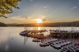 a group of boats docked at a dock on a lake at Dormio Hotel Der Seehof in Heimbach