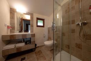 a bathroom with a shower and a toilet and a sink at Villa Ecaterina in Poiana Negrii