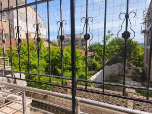 a view from the window of a zoo at Apartment in the Center 2 in Varna City