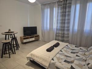 a bedroom with a bed and a tv and a table at Studio centre-clim-parking privée-rdc in Saint-Gaudens