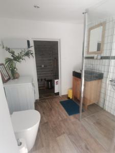 a bathroom with a toilet and a sink and a mirror at Casa d'Olivier chambre d'hôtes in Arles +9 photos