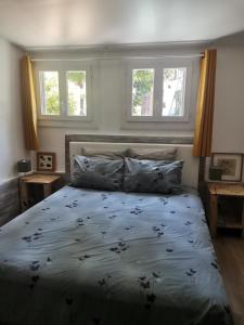 a bedroom with a bed and two windows at Casa d'Olivier chambre d'hôtes in Arles