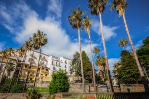 a row of palm trees in front of a building at La Colombaia Bed and Rooms in Belvedere Marittimo