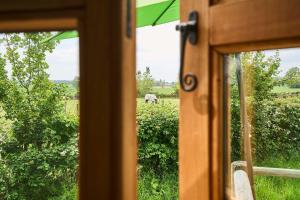 a view of a horse in a field through a window at Host & Stay - Shepherds View in Alburgh
