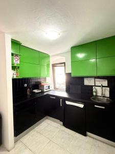 a kitchen with green cabinets and a sink at Majka Guest House in Kotor