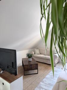 a living room with a couch and a tv at Chez Joséphine in Gerville