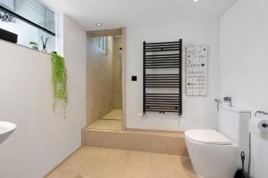 ein Badezimmer mit WC und ebenerdiger Dusche in der Unterkunft myraybay. in Stockach