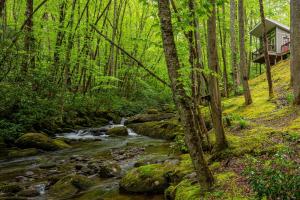 a creek with a tree house in the middle of a forest at The Owl's Perch in Robbinsville