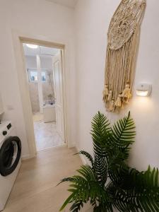 a hallway with a plant in a room at CENTRAL Apartment 84- free parking- spital Recuperare in Iaşi