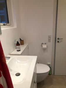 a white bathroom with a toilet and a sink at Nice Summer House With Sea View in Jægerspris +15 photos