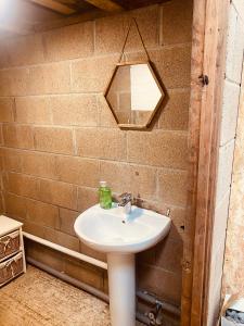 a bathroom with a sink and a mirror at Ebb Dome at Estuary Escapes in Kingsbridge +23 photos