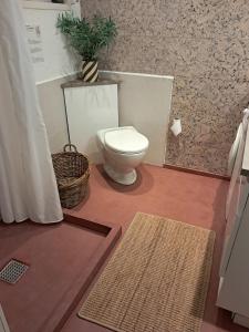 a bathroom with a toilet and a rug at Beautiful Holiday Home On An Undisturbed Plot in Rødby +12 photos