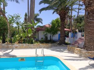 a pool with a palm tree and a house at daryemma2 in Asilah