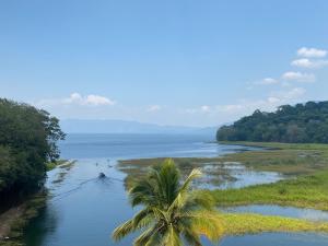 a boat on a river with a palm tree at HotelHarmonyHN in Peña Blanca