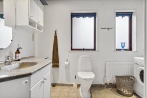 a white bathroom with a toilet and two windows at Spacious Cottage Surrounded By Forest in Mesinge +14 photos