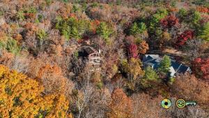 an aerial view of a house in the forest at 324 Brian Drive: The Swirling Bird in Basye