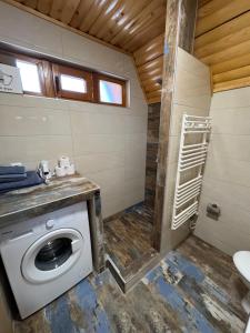 a bathroom with a washing machine and a shower at Vlasic Odmor - Villa Krajina IV & jacuzzi in Vlasic +37 photos