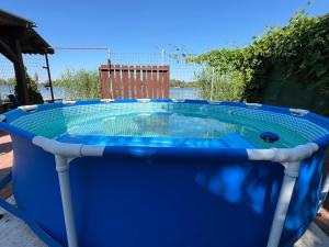 a large blue plunge pool in a backyard at Keszeg house in Szigetbecse