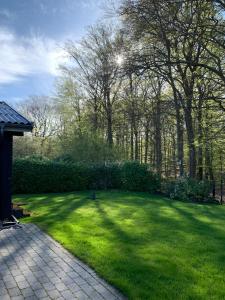 a yard with a green lawn with trees at Experience The Forest And Sea in Ålsgårde