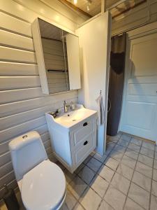 a bathroom with a white toilet and a sink at The Sun House in Hundested
