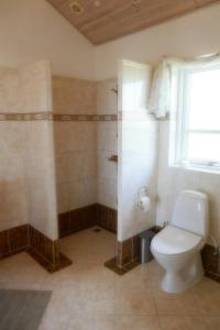 a bathroom with a toilet and a window at Outstanding Close To Nice Beachh in Karrebæksminde +16 photos