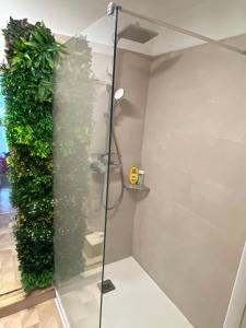 a shower in a bathroom with a green wall at New Cosy Flat Saint Tropez in Saint-Tropez