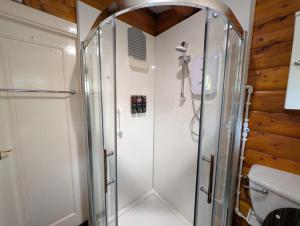 a shower with a glass door in a bathroom at Cabin Aelwyd Snowdonia in Trawsfynydd +22 photos