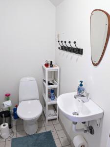 a bathroom with a toilet and a sink and a mirror at Lovely 2-Story Cabin By The Sea On Bornholm in Svaneke +20 photos