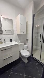 a white bathroom with a toilet and a shower at Grand T3 face au port avec sa terrasse , parking privatif in Saint-Cyprien-Plage