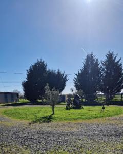 two people sitting in a field with a tree at Écurie deL Luna in Cré-sur-Loir