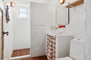 a white bathroom with a toilet and a sink at Idyllic Half-Timbered House For 10 Guests in Kettinge +22 photos