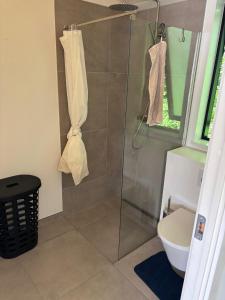 a bathroom with a glass shower with a toilet at Stylish Cottage Near Beach Cliffs Harbour in Havnelev +5 photos