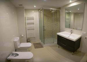 a bathroom with a shower and a toilet and a sink at Apartamento Gure Ganbara in Estella