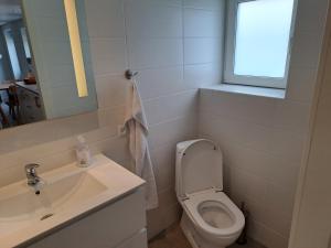 a bathroom with a toilet and a sink and a window at Idyllic Country Apartment Incl All Utilities in Christiansfeld +8 photos