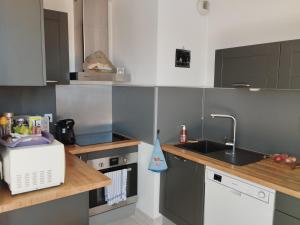 a small kitchen with a sink and a counter at Mèze joli T2 proche du centre et de la plage in Mèze