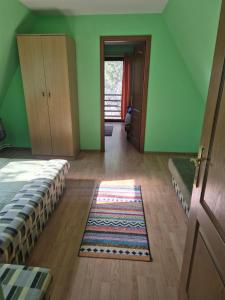 an empty room with green walls and a rug on the floor at Csendliget kulcsosház in Sub Cetate