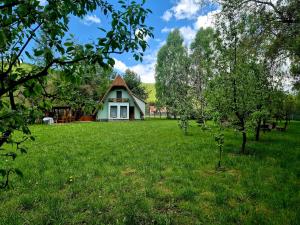a house in the middle of a field with trees at Csendliget kulcsosház in Sub Cetate