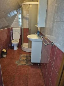 a bathroom with a toilet and a sink at Csendliget kulcsosház in Sub Cetate +13 photos